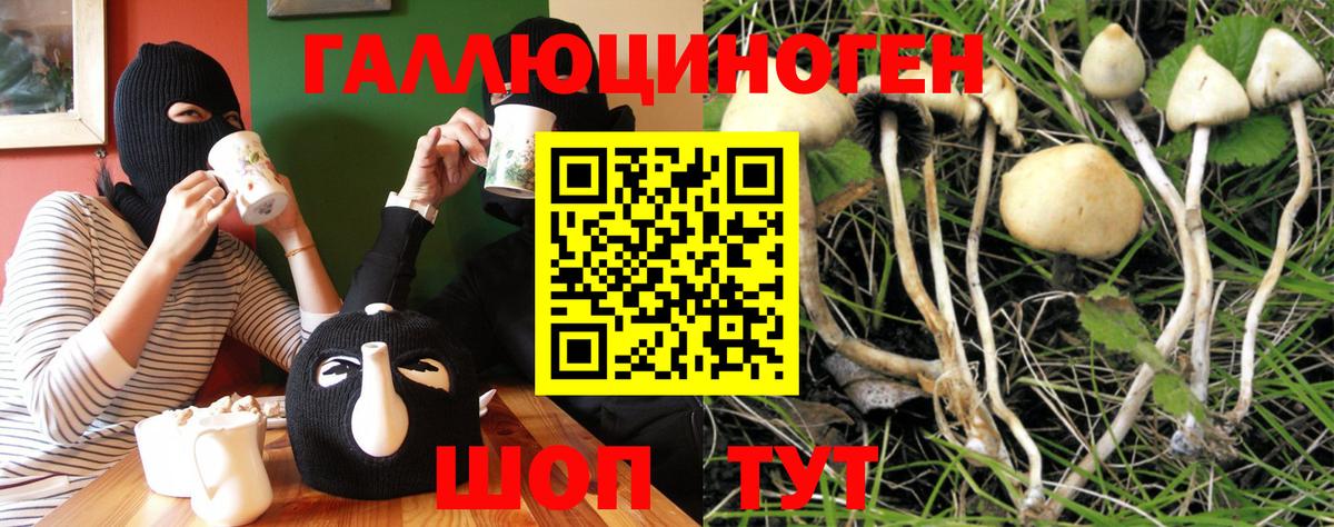 Псилоцибиновые грибы прущие грибы  Галлюциногенные грибы ЛСД  Зеленогорск  Вход с VPN 